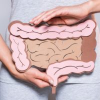Partial,view,of,woman,holding,paper,made,large,intestine,on